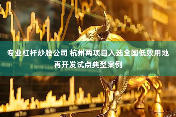 专业杠杆炒股公司 杭州两项目入选全国低效用地再开发试点典型案例