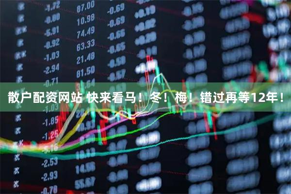 散户配资网站 快来看马！冬！梅！错过再等12年！