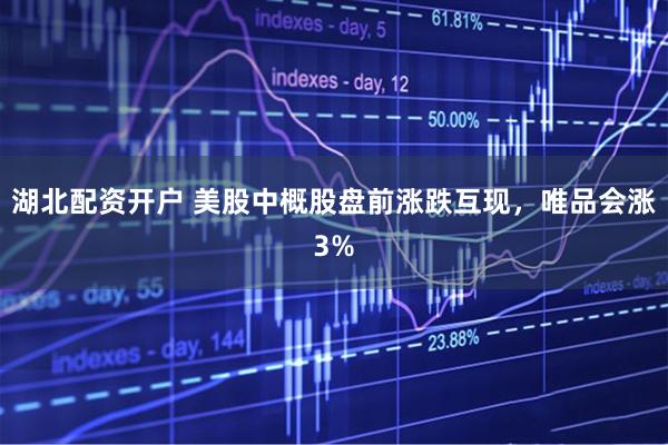 湖北配资开户 美股中概股盘前涨跌互现，唯品会涨3%