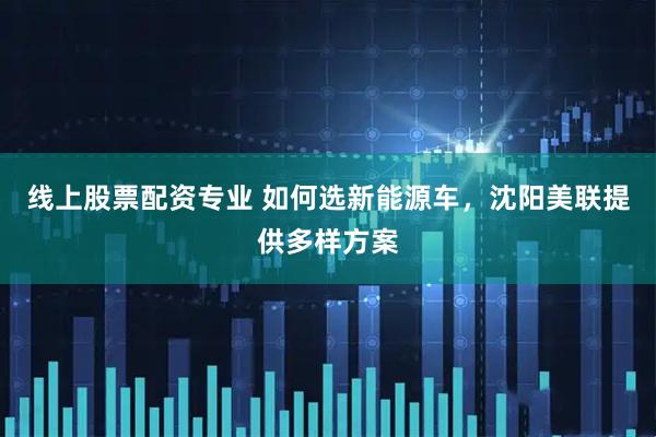 线上股票配资专业 如何选新能源车，沈阳美联提供多样方案
