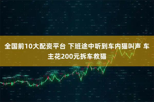 全国前10大配资平台 下班途中听到车内猫叫声 车主花200元拆车救猫